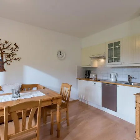 Apartamento Maximilian Hopfgarten im Brixental